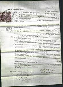 Court of Common Pleas - Sophia Woodward-Original Ancestry