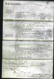 Court of Common Pleas - Ann Dolby-Original Ancestry