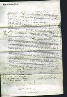 Court of Common Pleas - Margaret Murray-Original Ancestry