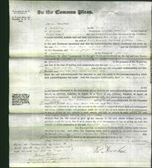 Court of Common Pleas - Ann Cotton, Sarah Attwood and Elisa Jordan-Original Ancestry