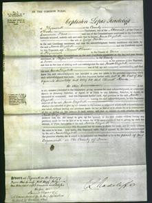 Court of Common Pleas - Annie Elizabeth Parker-Original Ancestry