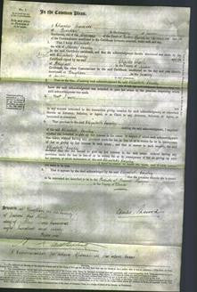 Court of Common Pleas - Elizabeth Cowley-Original Ancestry