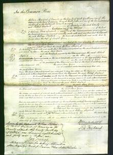 Court of Common Pleas - Jane Green-Original Ancestry