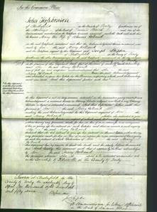 Court of Common Pleas - Mary Holland-Original Ancestry