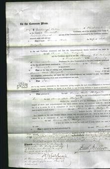 Court of Common Pleas - Anna Hole Holgate-Original Ancestry