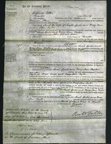 Court of Common Pleas - Sarah Curtis and Mary Ann Taylor-Original Ancestry