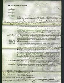 Court of Common Pleas - Mary Ann Bellchamber and Charlotte Matilda Richardson-Original Ancestry