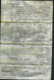 Court of Common Pleas - Esther Ann Harker-Original Ancestry