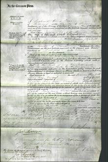 Court of Common Pleas - Frances Elizabeth Mary Ann Vincent-Original Ancestry