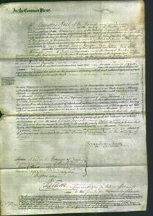 Court of Common Pleas - Eunice Joynson-Original Ancestry