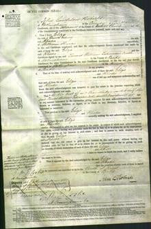 Court of Common Pleas - Eliza Edney and Rhoda Hardy-Original Ancestry