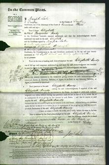 Court of Common Pleas - Elizabeth Hardy-Original Ancestry