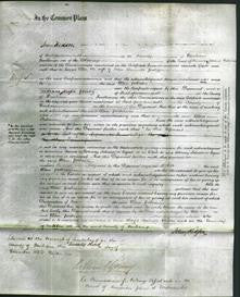 Court of Common Pleas - Ellen Paterson-Original Ancestry