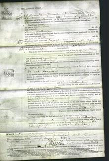 Court of Common Pleas - Jane King and Sarah Whittington-Original Ancestry