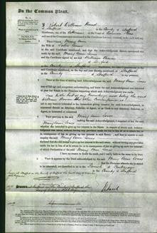 Court of Common Pleas - Mary Ann Jones-Original Ancestry
