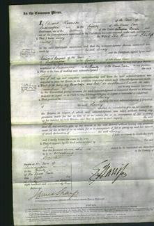 Court of Common Pleas - Lucy Lewis-Original Ancestry