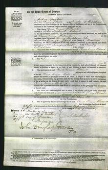 Court of Common Pleas - Clara Emma Wieland-Original Ancestry