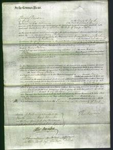 Court of Common Pleas - Mary Skelton-Original Ancestry