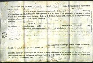 Deed by Married Women - Jane Austin and Frances Shelley-Original Ancestry