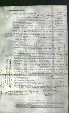 Court of Common Pleas - Emily Peirson and Emily Kearsley-Original Ancestry