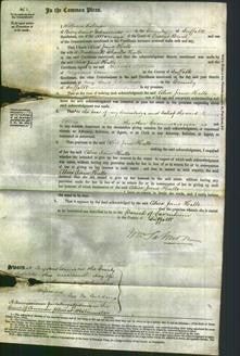 Court of Common Pleas - Alice Jane Halls-Original Ancestry