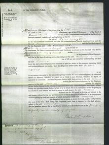 Court of Common Pleas - Susanna Blogg-Original Ancestry