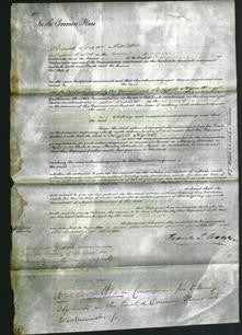 Court of Common Pleas - Ann Webb-Original Ancestry