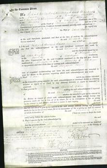 Court of Common Pleas - Elizabeth Davies-Original Ancestry