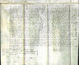 Court of Common Pleas - Ann Flower and Edith Cox-Original Ancestry