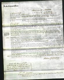 Court of Common Pleas - Charlotte Cook Leathes-Original Ancestry