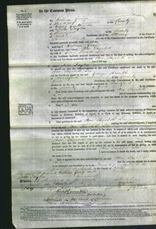 Court of Common Pleas - Ann Elizabeth Lee-Original Ancestry