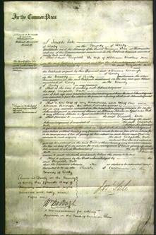 Court of Common Pleas -Elizabeth Hull-Original Ancestry