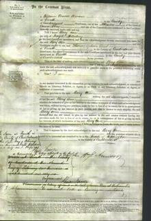 Court of Common Pleas - Mary Ann Holliday-Original Ancestry
