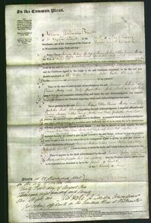 Court of Common Pleas - Jemima Andrews, Delia Emma Staveley and Emily Pembertha Sarah Tidd-Original Ancestry