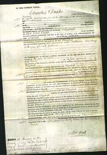 Court of Common Pleas - Elizabeth Crisp-Original Ancestry