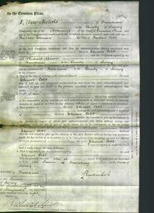 Court of Common Pleas - Eleanor Cobb-Original Ancestry