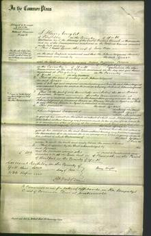 Court of Common Pleas - Grace Briggs-Original Ancestry