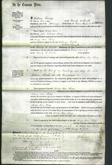 Court of Common Pleas - Mary Ann Wray-Original Ancestry