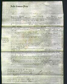 Court of Common Pleas - Mary Loach-Original Ancestry