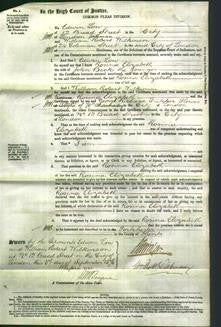 Court of Common Pleas - Rosina Elizabeth Becke-Original Ancestry