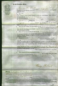 Court of Common Pleas - Catherine Brown-Original Ancestry