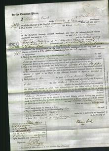 Court of Common Pleas - Selina Maria Lyman-Original Ancestry