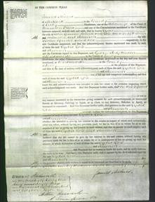 Court of Common Pleas - Lydia Robertson, Lois Shimwell and Hannah Johnson-Original Ancestry