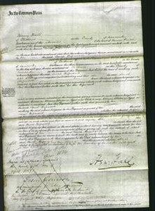 Court of Common Pleas - Sarah Hopwood-Original Ancestry