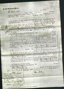 Court of Common Pleas - Selina Maria Lyman-Original Ancestry