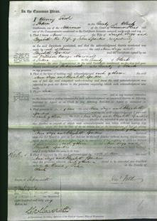 Court of Common Pleas - Ann Ings and Elizabeth Sparkes-Original Ancestry