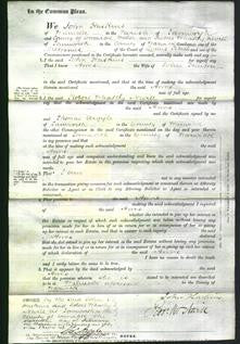 Court of Common Pleas - Anne Hinton-Original Ancestry