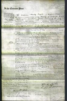 Court of Common Pleas - Emily Pitts-Original Ancestry