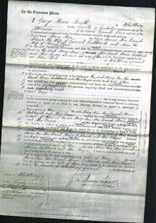 Court of Common Pleas - Mary Ann MacDaniel, Maria Sudderick and Alice Payne-Original Ancestry