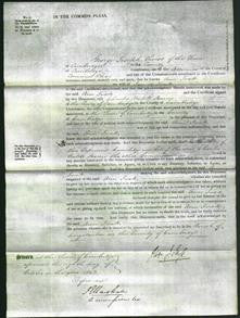 Court of Common Pleas - Ann Ivatt-Original Ancestry